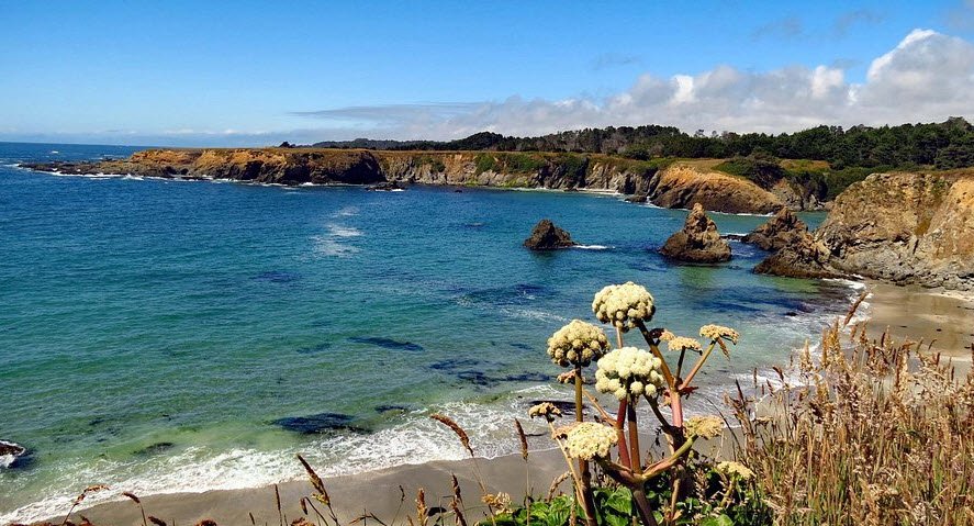Jug Handle State Natural Reserve, California, USA